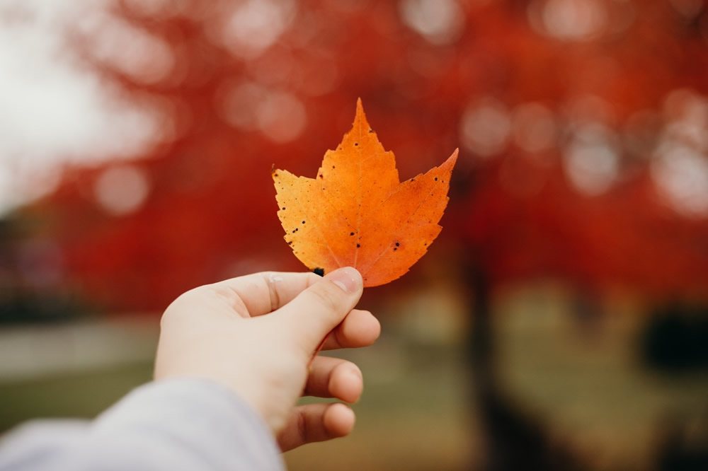 Consider a Family Retreat or Family Day This Fall