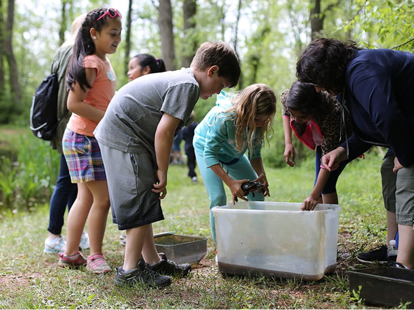 Image of several children playing at camp